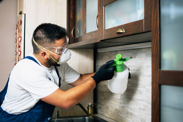 Best Best Pest Control Companies  in Baird, TX