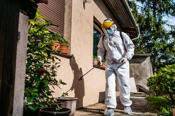 Best Residential Pest Control  in Baird, TX