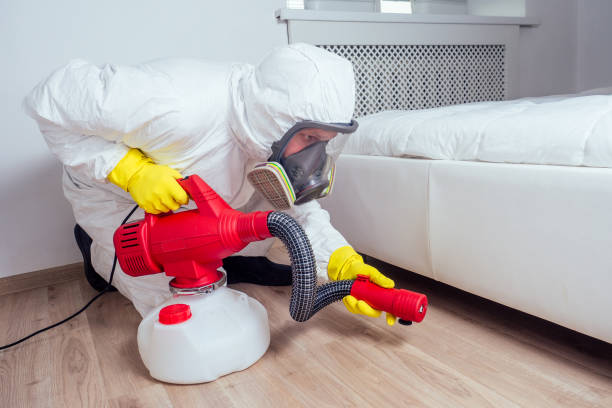 Best Pest Control for Homes  in Baird, TX