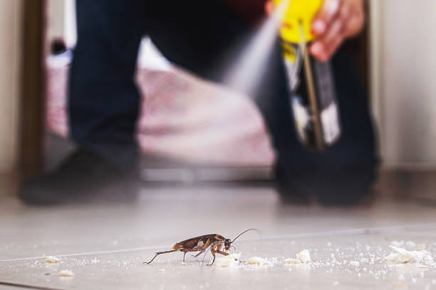 Best Cockroach Control Services  in Baird, TX